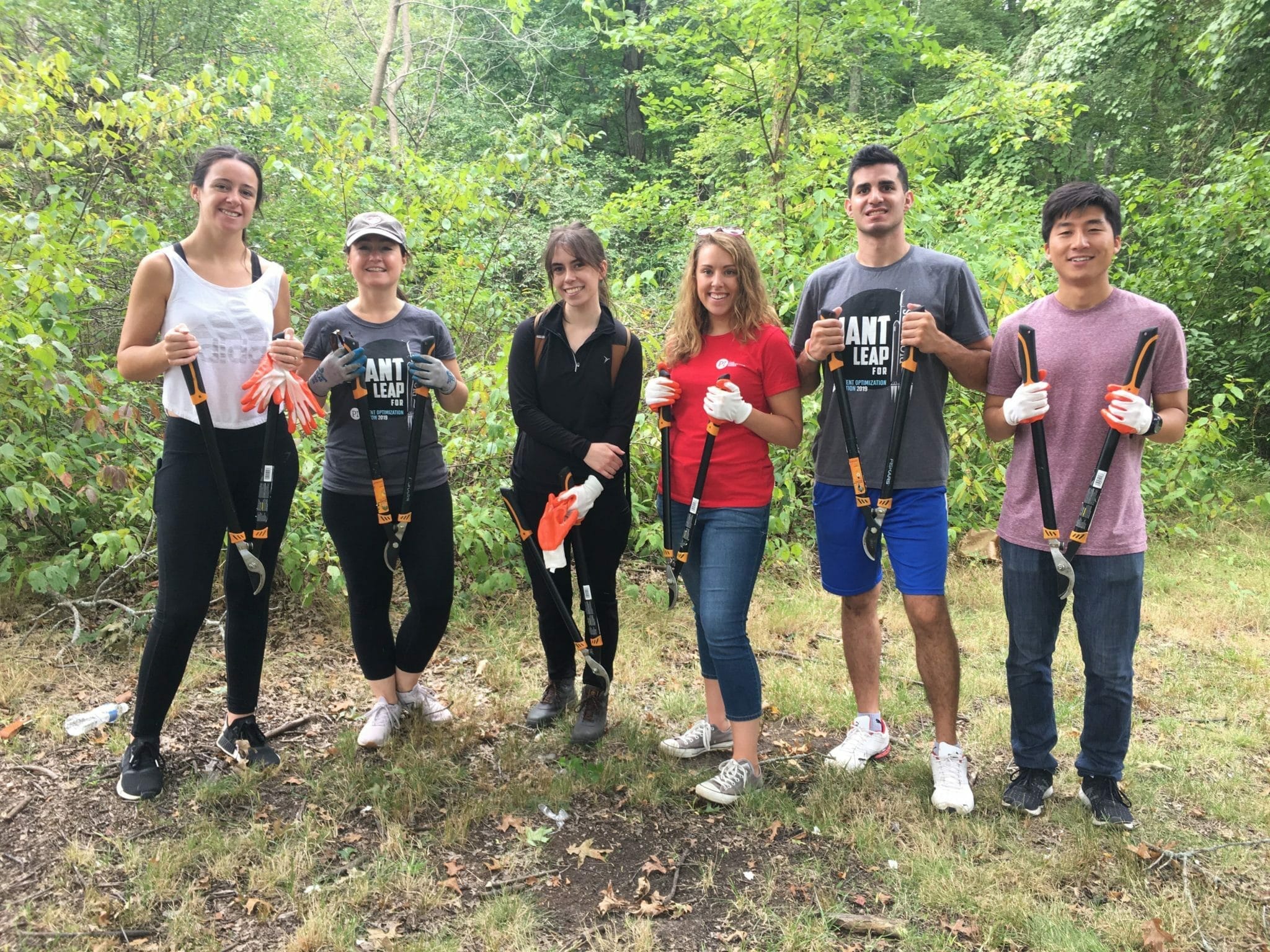 Blue Hills volunteer project