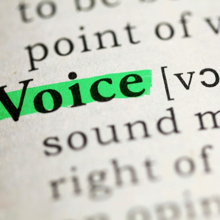 Definition of voice