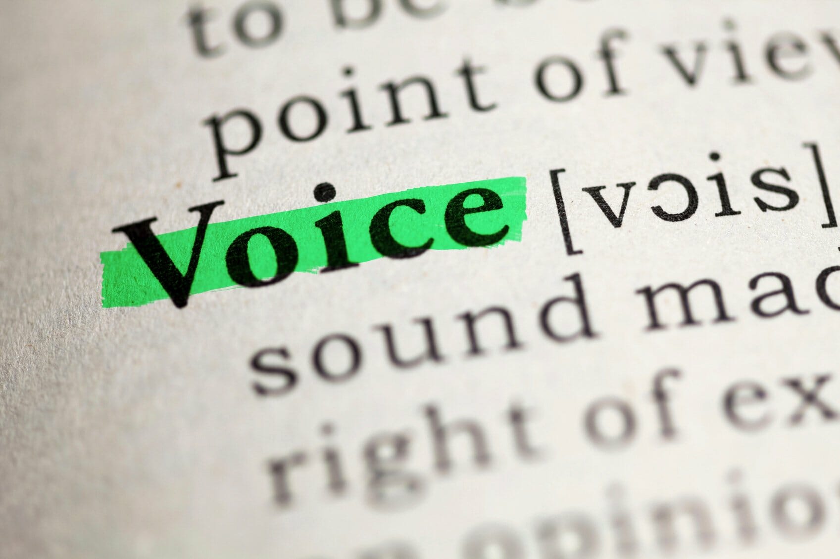 Definition of voice