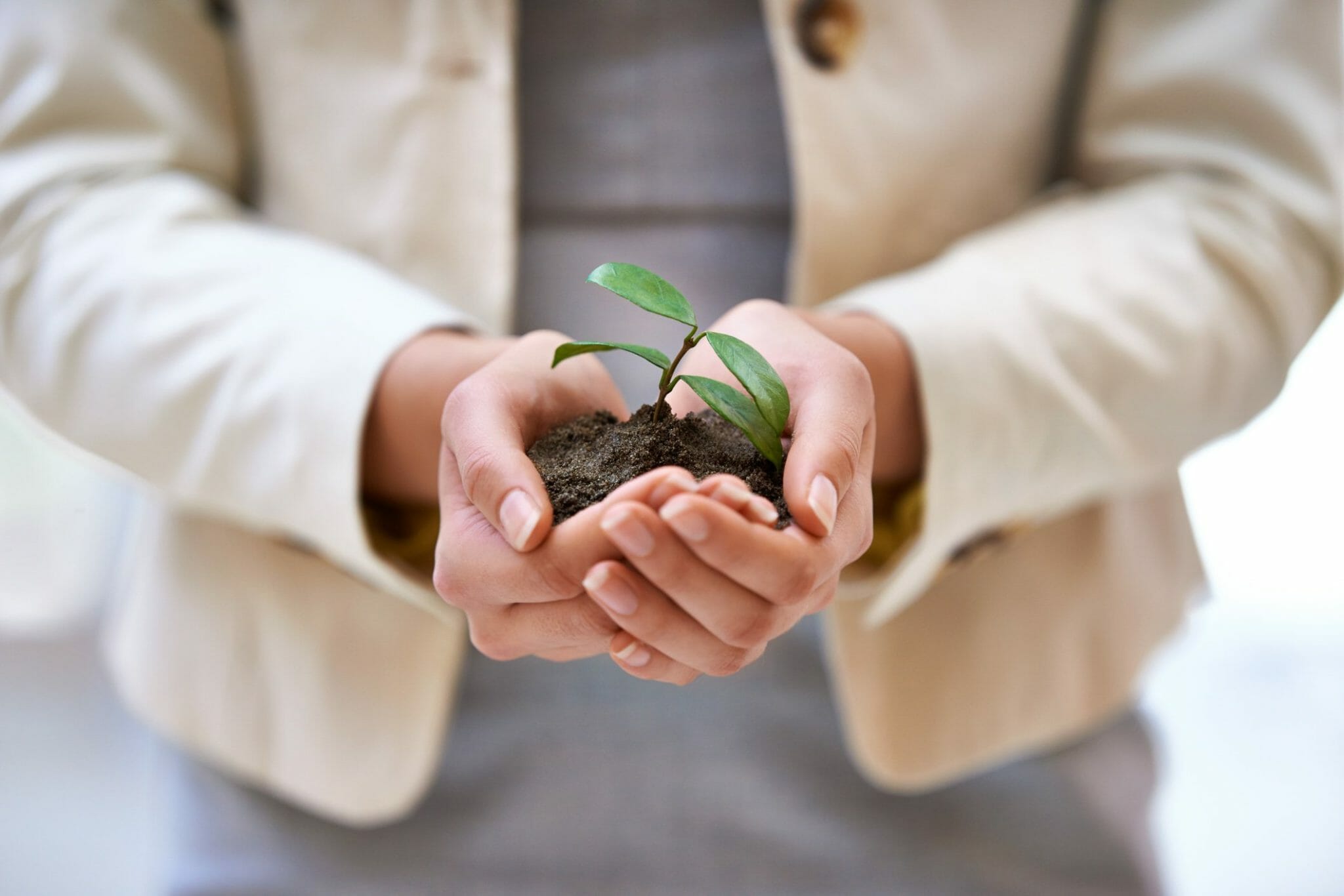 Woman holding soil with small plant growing