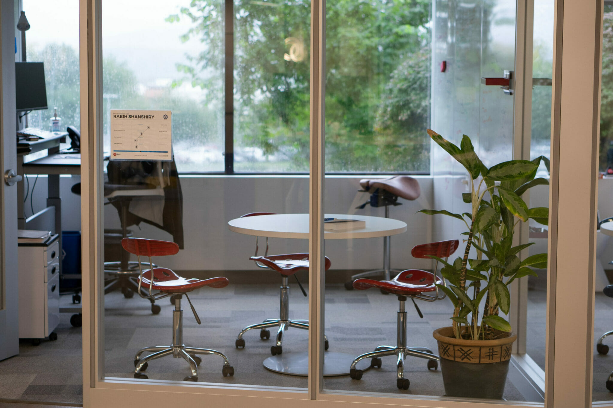 Office plants are instant mood boosters.