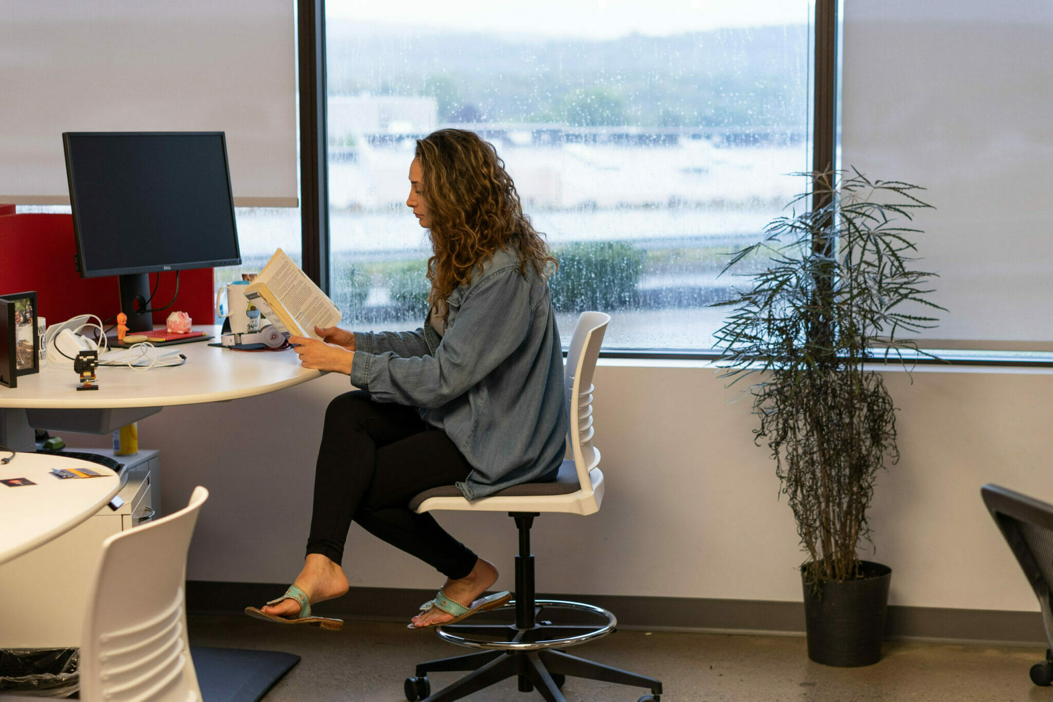 Place a potted plant or tree on the floor throughout your workspace.