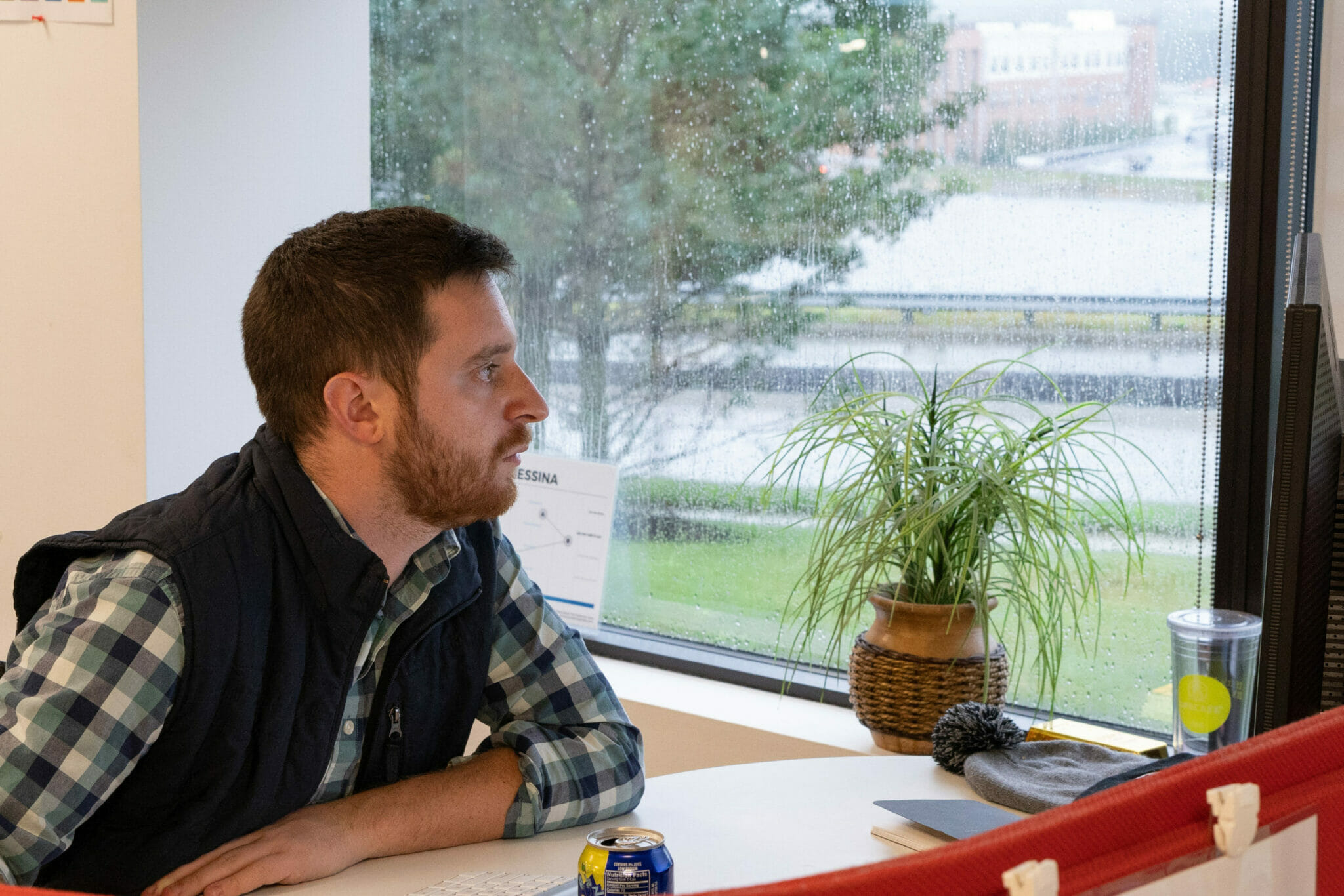 Place plants on windowsills to help rid office air of toxins.