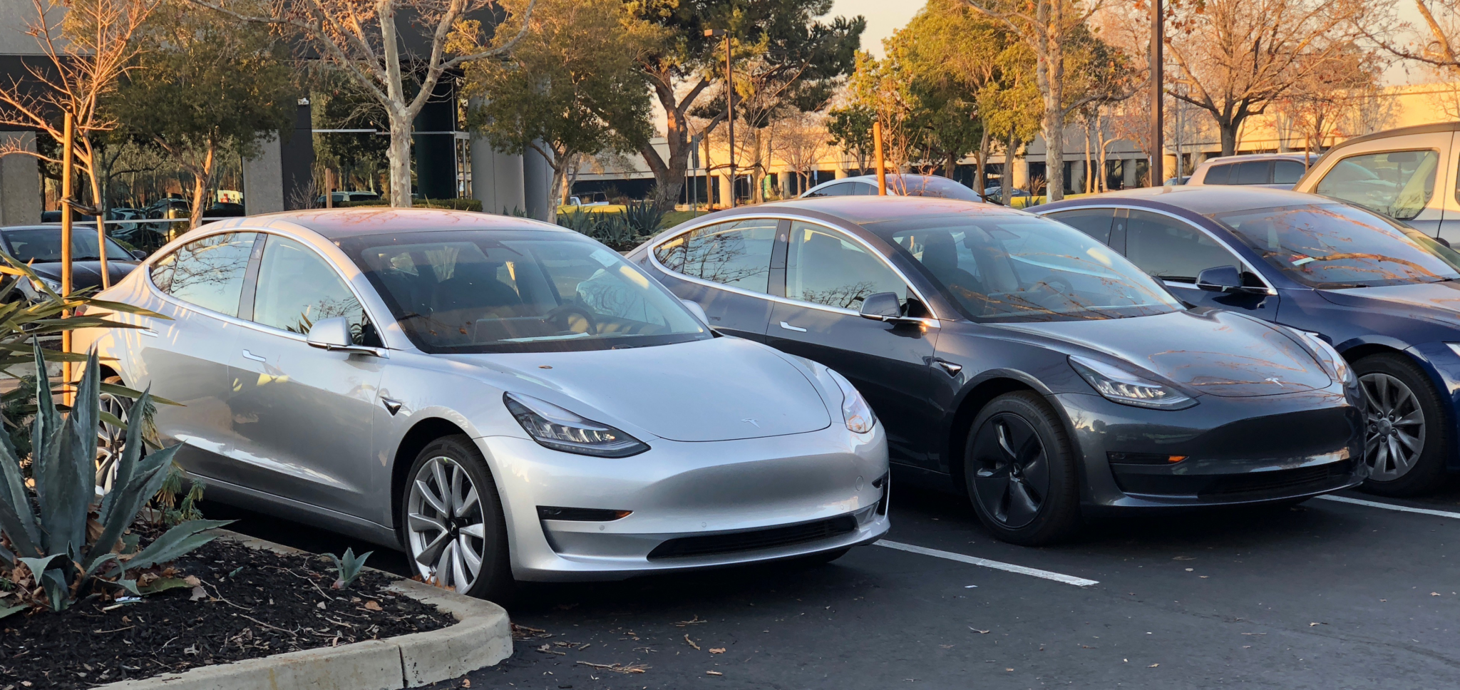 Tesla cars in parking lot