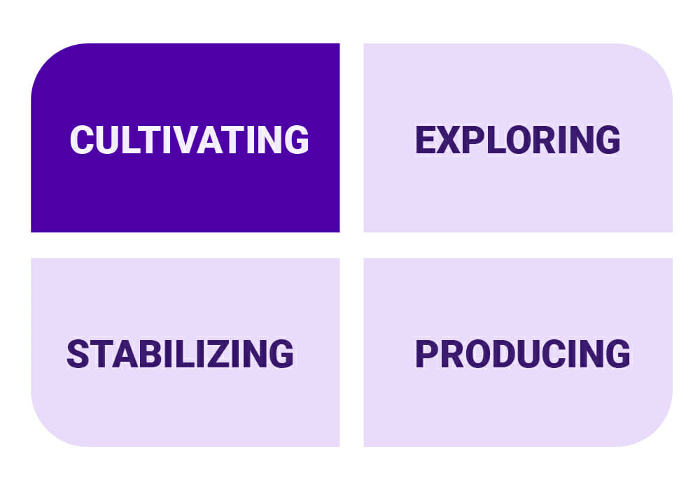 PI four culture types