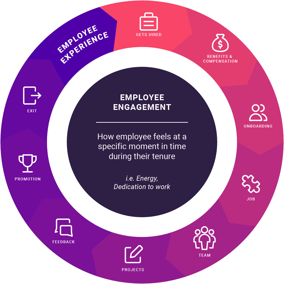 PI Diagnose: The four drivers of engagement, and how to measure them ...